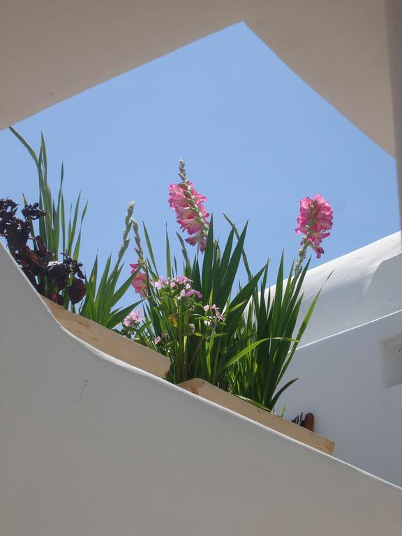 Hotel Philippi Mykonos Town Екстер'єр фото
